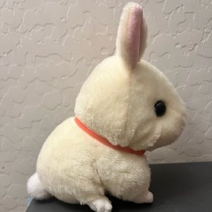AMUSE Small rabbit